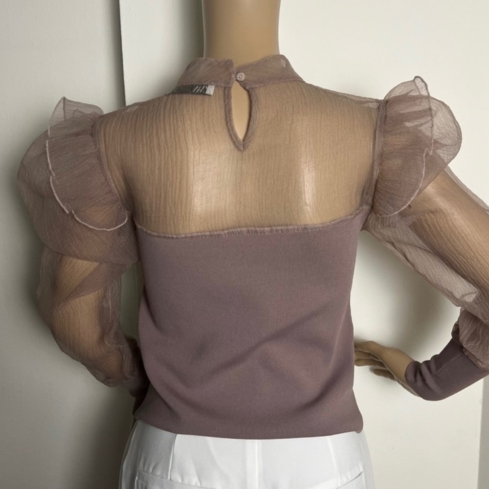 Zara Sheer Ruffle Top - Picture 5 of 5